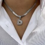 Çelik Silver D Harf Kolye 45cm