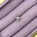 Parıltılı Arı – Damla Zirkon Taşlı Çelik Piercing