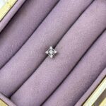 Prenses Yıldız Zirkon Çelik Piercing