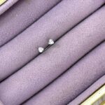 İkiz Kalp Kavis – Çelik Zirkon Barbell Piercing