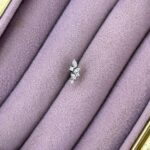 Yaprak Işıltı – Çelik Zirkon Mini Piercing