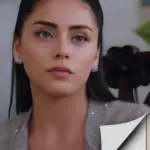 Kızılcık Şerbeti Doga Küpesi – Silver
