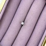 Tomurcuk – Zirkon Mini Piercing (Çelik)