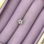Baget Yıldız – Çelik Zirkon Mini Piercing
