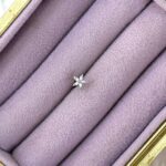Beş Yaprak Işıltı Zirkon Çelik Piercing – Gümüş