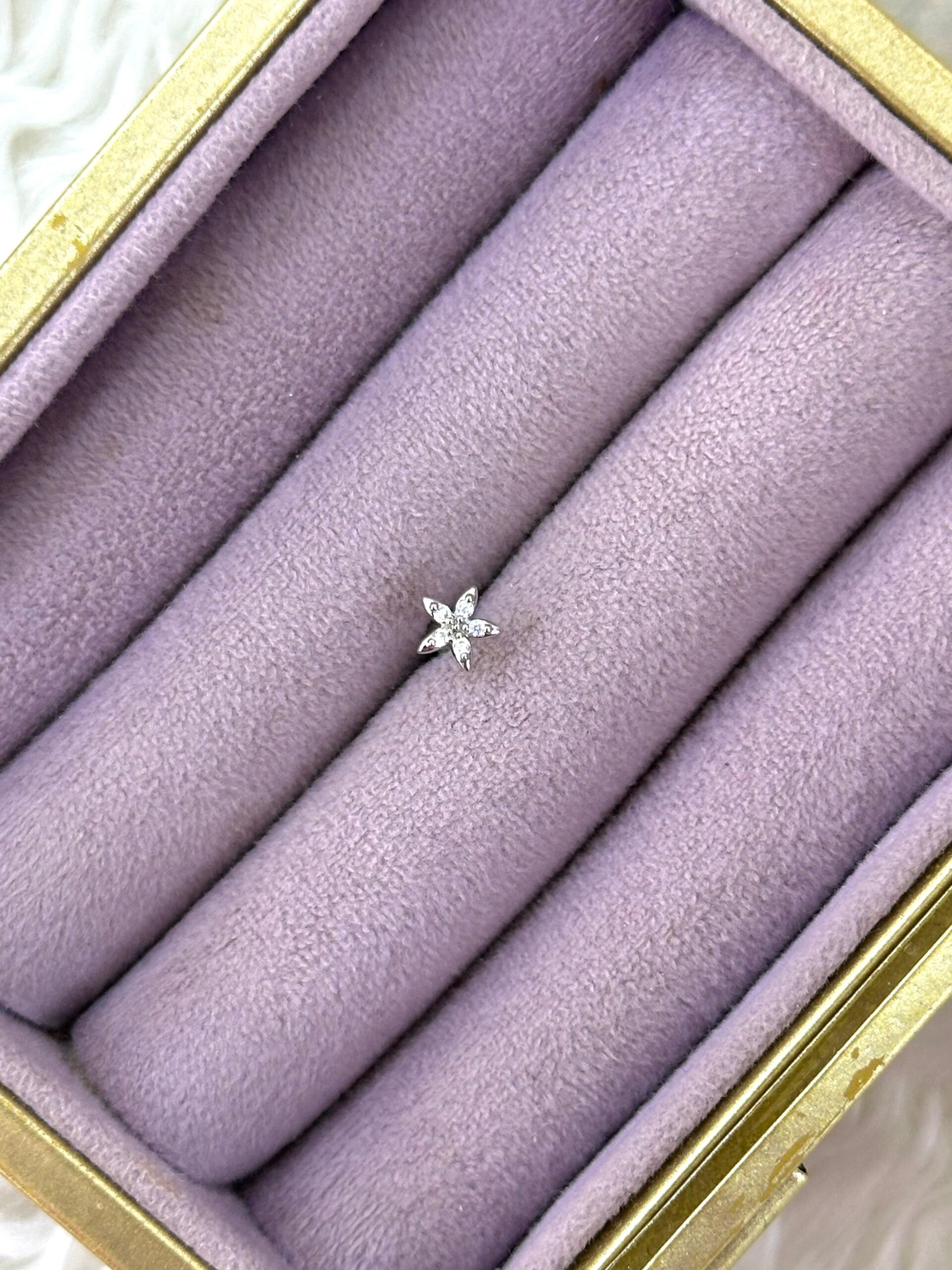 54fb9126-9fa4-45da-a6c1-38bc071bf7f6.jpg Beş Yaprak Işıltı Zirkon Çelik Piercing – Gümüş - Görsel 1
