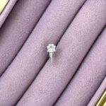 Saçak Taç – Sallantılı Zirkon Piercing (Çelik)