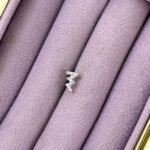 Zikzak Parıltı – Ear Climber Çelik Piercing