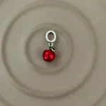 “Kırmızı Elma” Emaye Charm