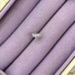 Yusufçuk Parıltı – Kanatlı Zirkon Mini Piercing (Çelik)