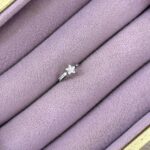 Kartanesi Yol – Ear Climber Zirkon Piercing (Çelik