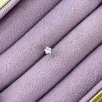 Yonca Işıltı – Taşlı Zirkon Mini Piercing (Çelik)