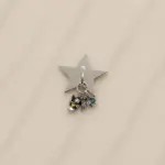 Arı ve Yıldız Detaylı Sallantılı Charm - Görsel 2