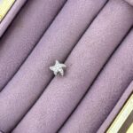 Deniz Yıldızı Işıltı – Mikro Zirkon Taşlı Çelik Piercing