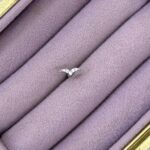 Kanat Işıltısı Zirkon Taşlı Çelik Piercing