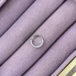 Pavé Yarım Halka – Clicker/Segment Piercing (Çelik)