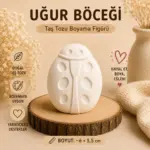 Uğur Böceği Boyama Seti