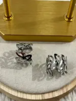 Çelik Silver Küpe - Görsel 2