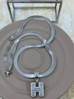 Çelik Silver H Harf Kolye 45cm - Görsel 2