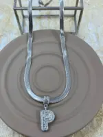Çelik Silver P Harf Kolye 45cm - Görsel 2