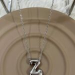Çelik Silver Z Harf Kolye 45cm
