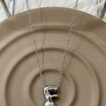 Çelik Silver F Harf Kolye 45cm