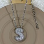 Çelik Silver S Harf Kolye 60cm