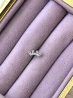 Baget Taç Kavis Çelik Piercing