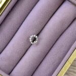 Zirkon Yaprak Çember Çelik Piercing