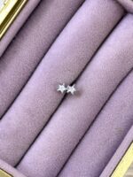 Çift Yıldız Parıltı Çelik Piercing - Görsel 2