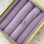 Çift Yıldız Parıltı Çelik Piercing - Görsel 3