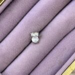 Işıltı Baykuş Çelik Piercing