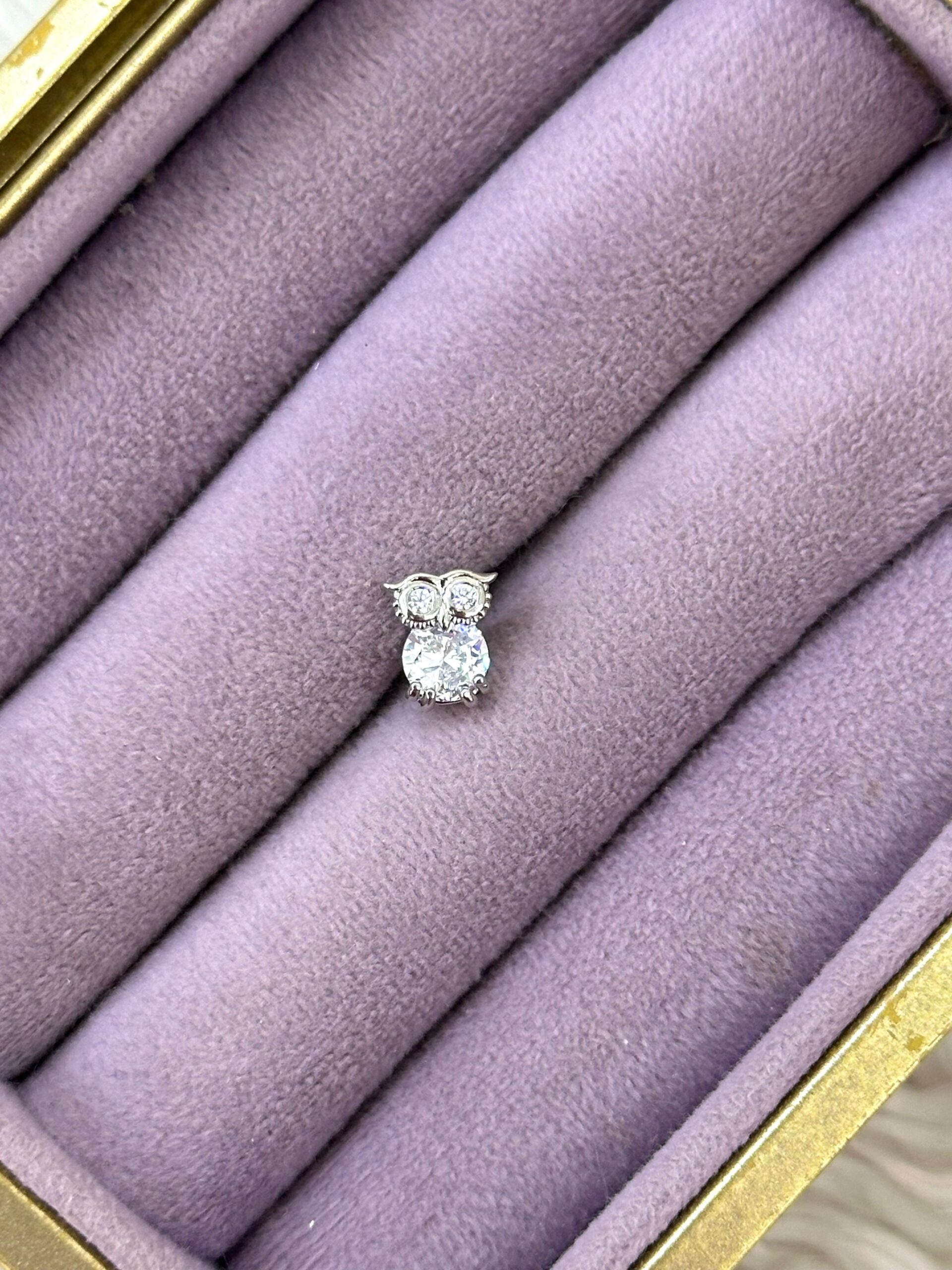 whatsapp-image-2025-09-03-at-18-6.jpg Işıltı Baykuş Çelik Piercing - Görsel 1