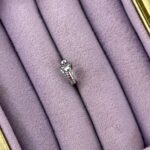 Etnik Desen Yılanlı Taşlı Çelik Piercing