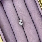 Çiçek Dalı Işıltı Çelik Piercing