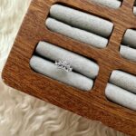 Kraliçe Dokunuşu: Minik Taç Piercing