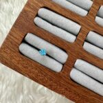 Mavi Rüya Çiçeği Piercing
