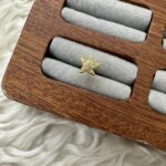 GOLD STANDARD: PARLAYAN YILDIZ PIERCING