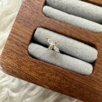 YOL GÖSTERİCİ IŞIK: TAŞLI KUZEY YILDIZI PIERCING