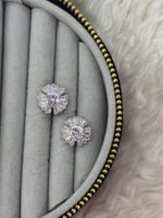 Silver Renk Güneş Işıltısı Model Baget Taşlı Kadın Küpe - Görsel 2