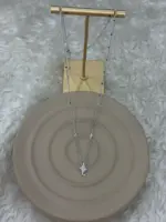 Kuzey Yıldızı Detaylı Silver Kolye