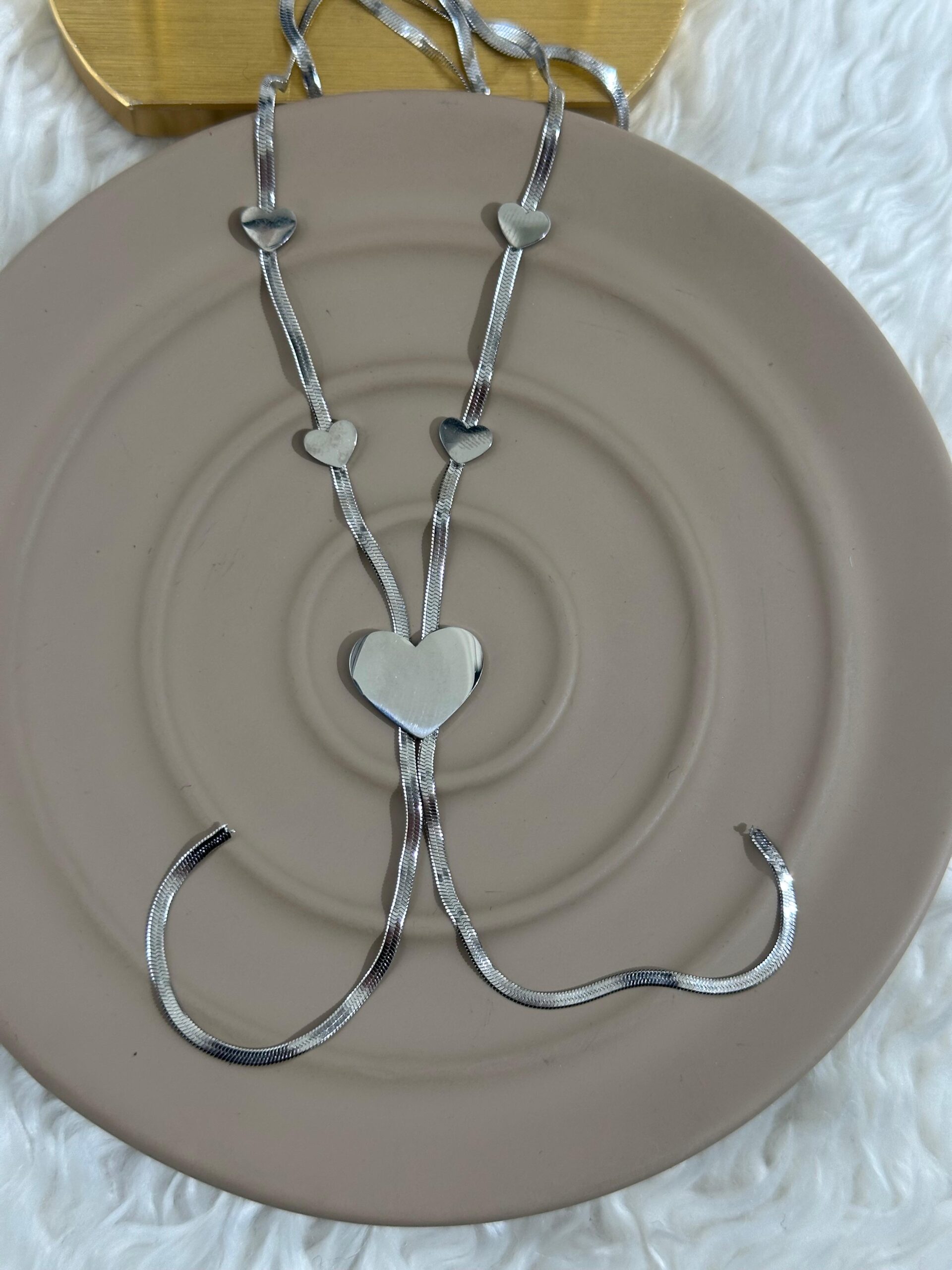 whatsapp-image-2025-03-06-at-14.jpg Kalp Süzülüşü Lariat Çelik Kolye - Görsel 1